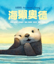 Load image into Gallery viewer, 海獺奧德
