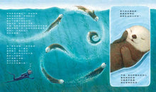Load image into Gallery viewer, 海獺奧德
