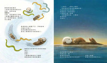 Load image into Gallery viewer, 海獺奧德
