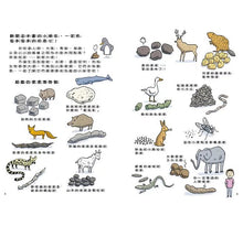 Load image into Gallery viewer, 如何拉出完美便便
