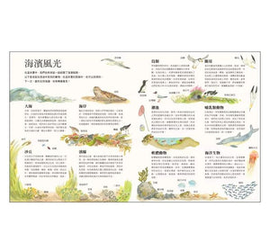 老鼠的海濱假期