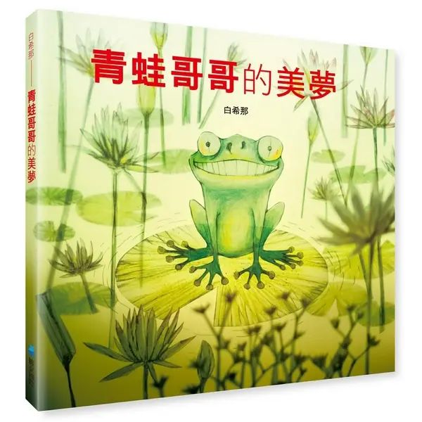 青蛙哥哥的美夢