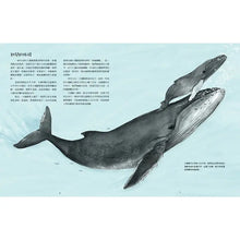 Load image into Gallery viewer, 遷徙：動物的驚奇之旅
