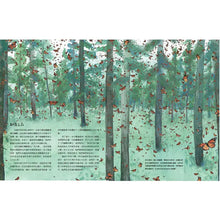 Load image into Gallery viewer, 遷徙：動物的驚奇之旅
