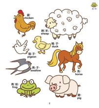 Load image into Gallery viewer, 中英雙語認知小百科 幼兒階段發展前運思期：感官專注力
