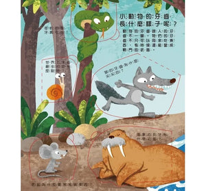 翻翻書 系列：眼睛呢？牙齒呢？睡眠呢？男孩？女孩？