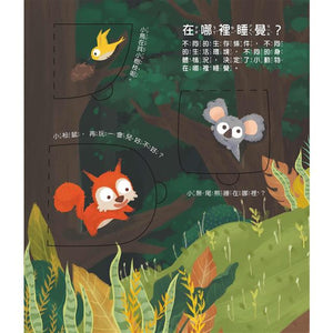 翻翻書 系列：眼睛呢？牙齒呢？睡眠呢？男孩？女孩？