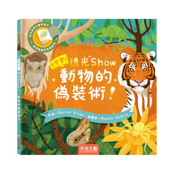 登登登透光show：動物的偽裝術！