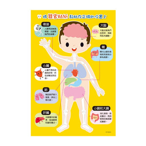 身體大搜密手電筒書