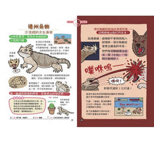 Load image into Gallery viewer, 表裡不一的動物超棒的！圖鑑
