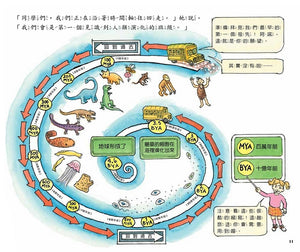 魔法校車經典必蒐版（全套13冊）