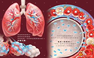 金妮比尼系列：心臟噗通噗通：血液的身體大冒險