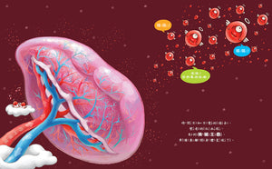金妮比尼系列：心臟噗通噗通：血液的身體大冒險