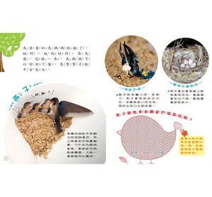 小偵探大追擊：認識鳥兒大小事