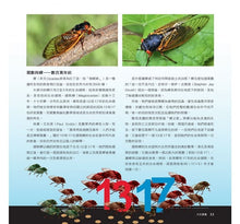 Load image into Gallery viewer, 大玩算數──輕鬆動腦．培養數感（經典篇）
