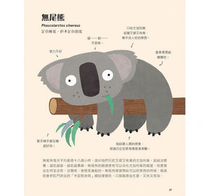 不可思議的動物大集合