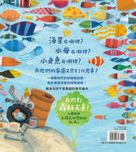 Load image into Gallery viewer, 海星在哪裡？
