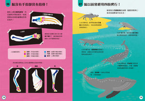 小小科學人：100科學大發現