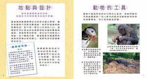 小小建築師：動物界的建築大師