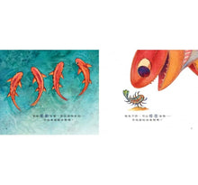 Load image into Gallery viewer, 魚，是我們的祖先嗎？：孩子的第一本演化書
