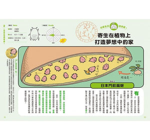 昆蟲們の超奇葩生活圖鑑：奇葩到令人敬佩的昆蟲生存大作戰