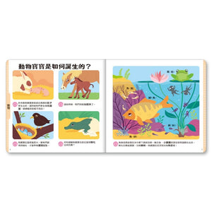 小小孩最愛問百科書套書